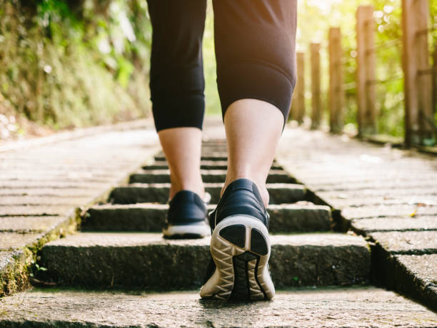FIT REGIME: TAKING HEALTH ENTHUSIASTS ON A JOURNEY TO FITNESS