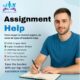 Honest Comparison of Top Assignment Writing Websites